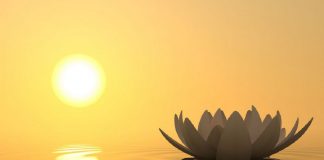 À quel point êtes-vous Conscient ?